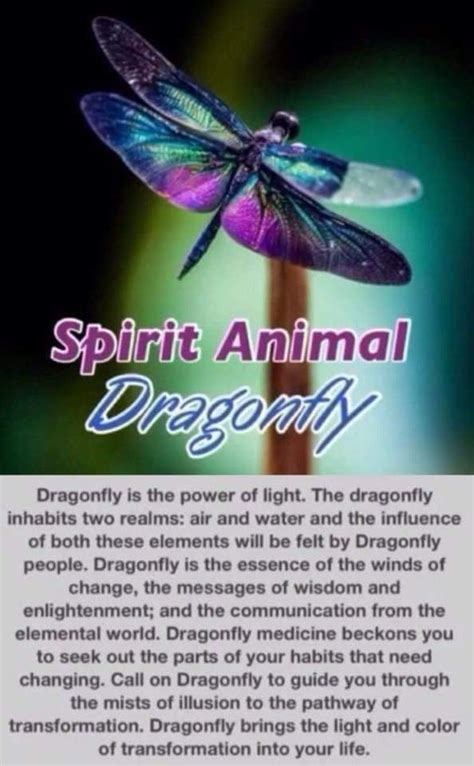 Pin by Billie Baum on Dragonfly - Damselfly - Dragonflies | Dragonfly quotes, Dragonfly ...