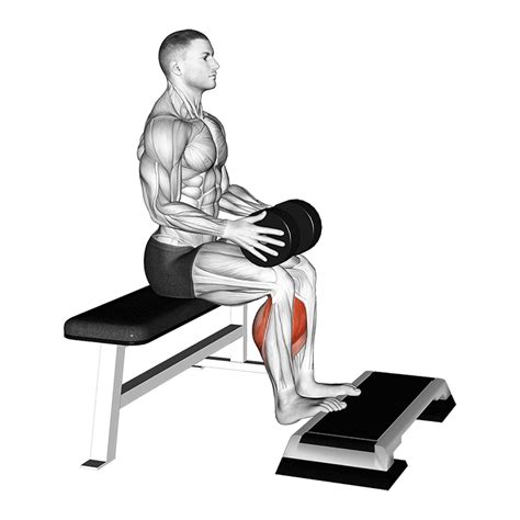 Seated Calf Raises: Benefits, Muscles Worked, and More - Inspire US