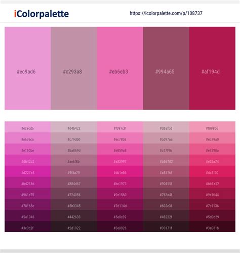 1 Latest Color Schemes with Cannon Pink And Maroon Flush Color tone combinations | 2023 ...