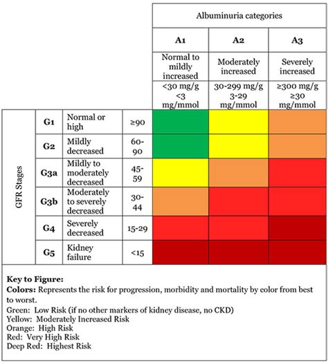 Estimated Glomerular Filtration Rate (eGFR) in 2020 | Chronic kidney failure, Kidney disease ...