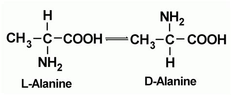 AMINO ACID SUPPLEMENT ARTICLE SERIES Part One: Basic Science of amino acids. By Vic Goyaram ...