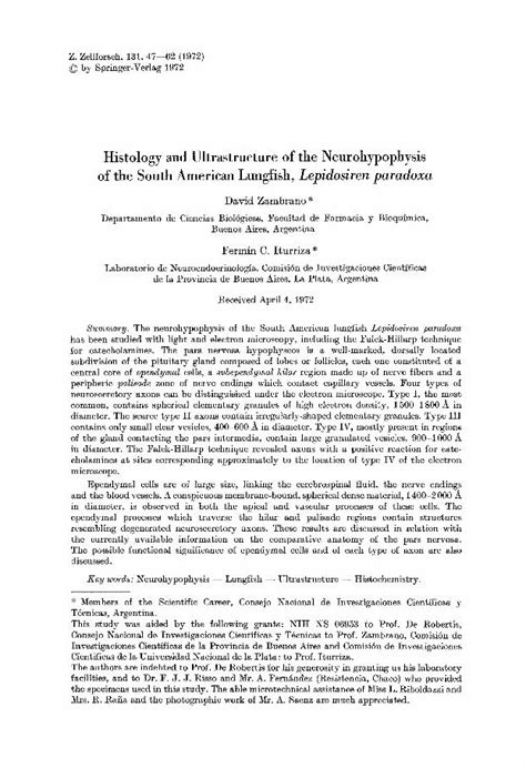 (PDF) Histology and ultrastructure of the neurohypophysis of the south american lungfish ...