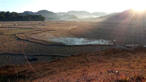 Ziro Valley | RockyFeet