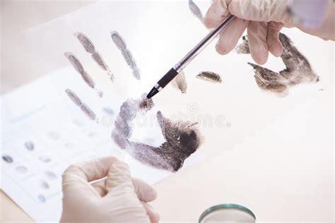 The Forensic Expert Studying Fingerprints in the Lab Stock Photo - Image of examining, criminal ...