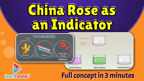 Class 7 Science Acids, Bases and Salts - China Rose as a Natural ...