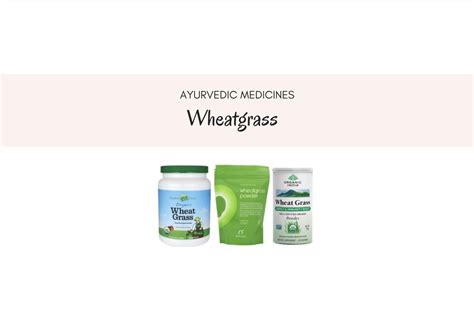 Everything You Want To Know About Wheatgrass Powder