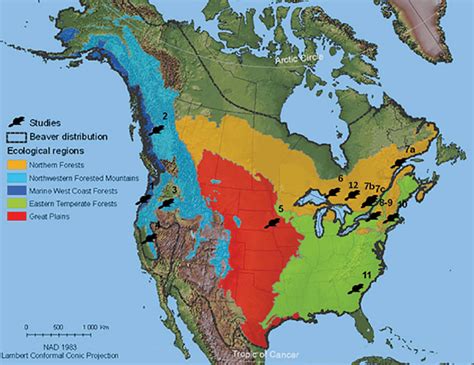 Geographic range of the beaver (Castor canadensis Khul) in North... | Download Scientific Diagram
