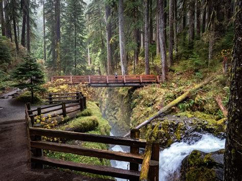 Hike to Sol Duc Falls - Olympic National Park - Blog - Trailchew