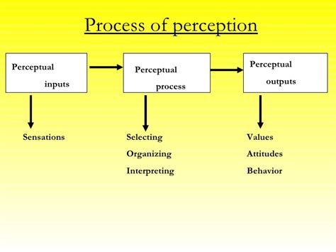 Perception and Perceptual Process ~ Professional Shiksha