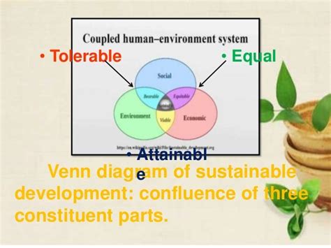 Human environment system ppt