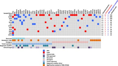 Summary results of whole exome sequencing for all matched samples (n ...