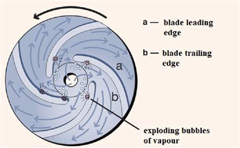 The cavitation in the pump. | Download Scientific Diagram