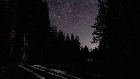 Night, dark, road, starry sky, trees, , , background, 193f16, Dark ...