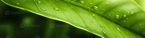 AI generated Green leaf nature background. AI Generated 35890859 Stock ...