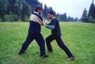 Picture Series: Techniques and Skills of Taijiquan Pushing Hands