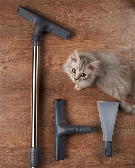 Top 5 best shark vacuum for pet hair and hardwood floors