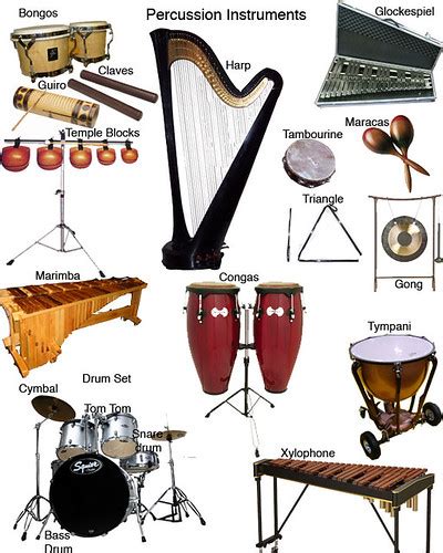 MUSICAL PERCUSSION INSTRUMENTS : PERCUSSION INSTRUMENTS - ALL THE NOTES ...