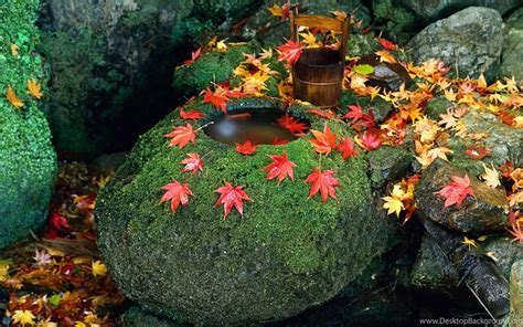 Japanese Autumn Scenery Wallpapers 2 － Landscape Wallpapers Free ...