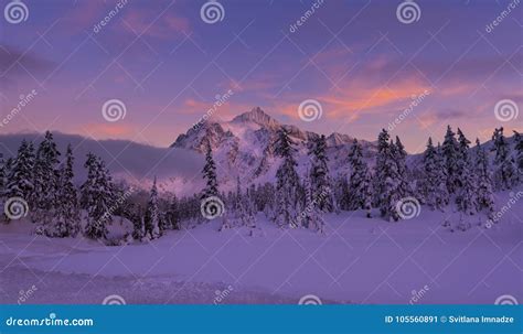 Mt Shuksan in Winter stock image. Image of outdoors - 105560891