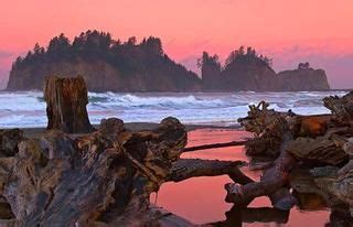 Lapush Beach', Forks Washington | Places to visit, Places to go, Favorite places