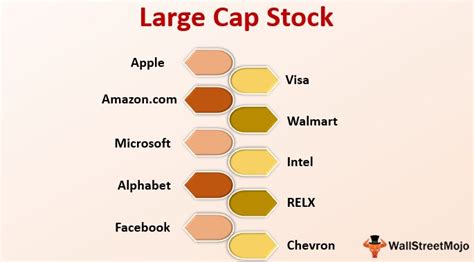 Large Cap Stock (Definition, List) | Why Invest in Such Companies?