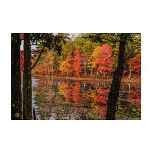 Quabbin reservoir fall foliage Photograph by Jeff Folger | Fine Art America