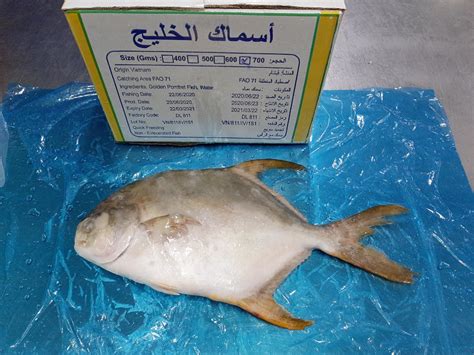 PRODUCT OF SOBICO - FROZEN GOLDEN POMFRET WHOLE ROUND