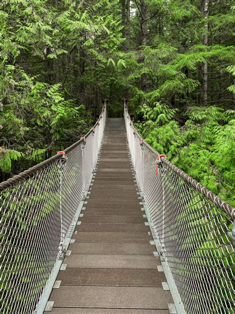 Guide to Lynn Canyon Suspension Bridge - Maddie Deer