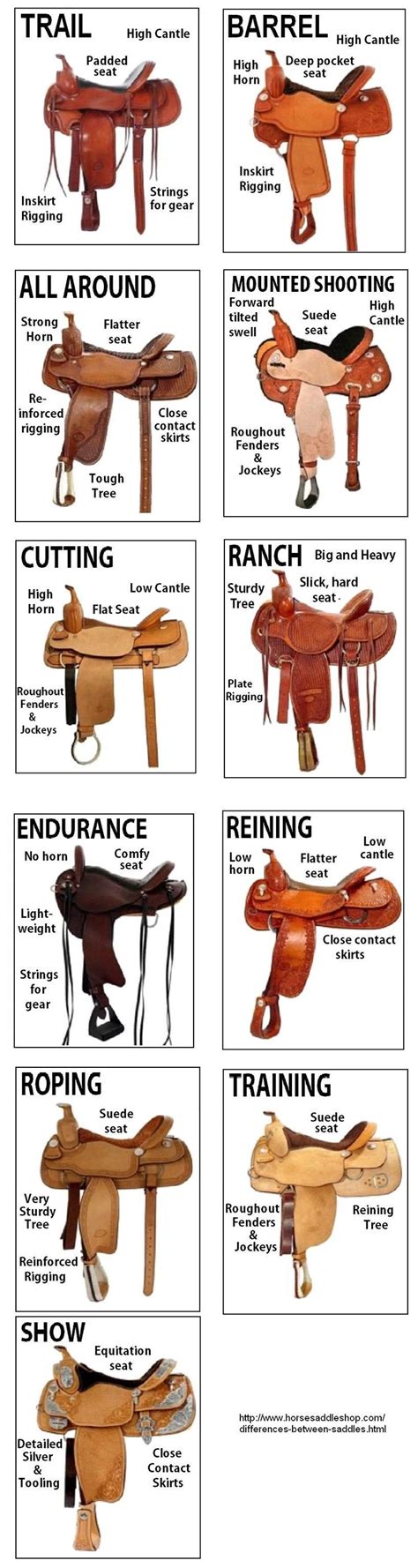 Pin by Klaudija Vieregg on Equestrian Images | Horse tack, Horse facts, Horse saddles