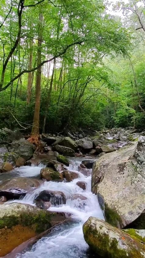 Great waterfall hike in Great Smoky Mountains National Park: An ...