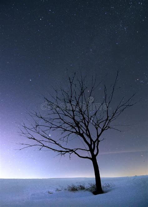 Night landscape stock photo. Image of clouds, night - 211186606