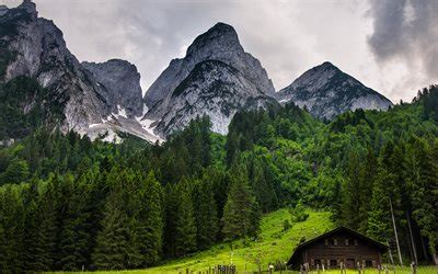 Download wallpapers 4k, Gosau, mountains, Austrian Alps, summer, Europe ...