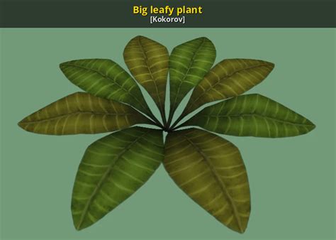 Big leafy plant [3D Models]