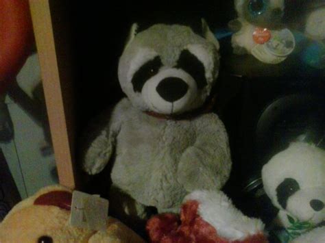 My Raccoon Plush 203 by PoKeMoNosterfanZG on DeviantArt