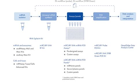 miRNA quantification