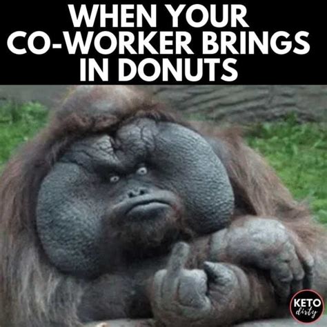 Diet Memes - 25+ Funny Images About the Woahs of Dieting