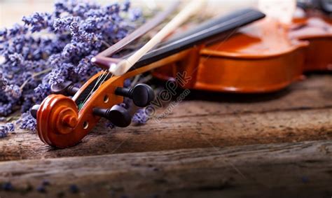 Vintage Composition With Violin And Lavender Picture Picture And HD Photos | Free Download On ...