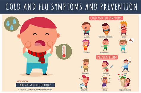 The Difference Between Cold and Flu - The life pile