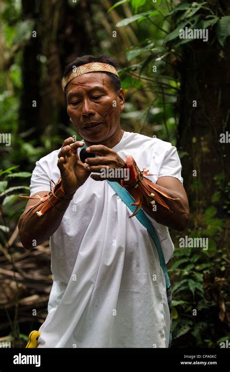 Secoya people amazon rainforest hi-res stock photography and images - Alamy