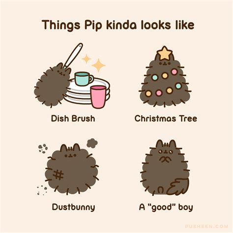 Pusheen : Things Pip Kinda Looks Like