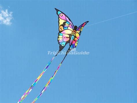 Chinese Kite - Butterfly - Chinese Kites Photos