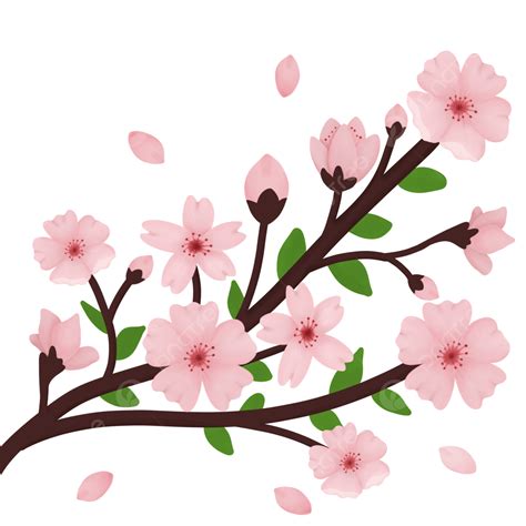 Cherry Blossom With Leaves, Cherry Blossom, Pink, Branch PNG ...