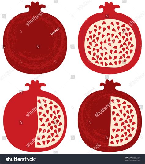 Vector Pomegranate Clipart Stock Vector (Royalty Free) 58566199