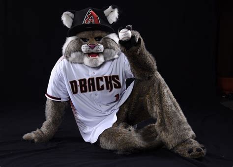 Preston D Baxter the Bobcat Mascot Arizona Diamondbacks Minimalist ...