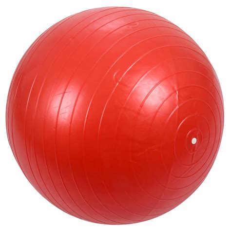 65 cm Utility Yoga ball Pilates Balance Sport Proof antislip voor ...