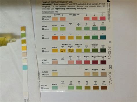 Testing Cat Urine at Home - Feline Friendly Care