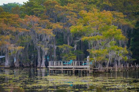 Caddo Lake | Uncertain, Texas - Photo Series on Behance