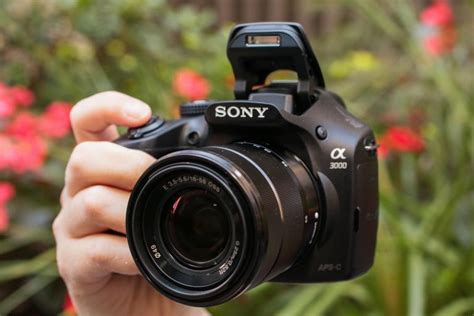 Sony Alpha A3000 review: Photos, price impress on this slow, faux dSLR ...