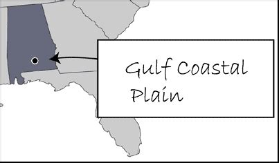 Gulf Coastal Plain | Study Sites | Fire and Fire Surrogates Study