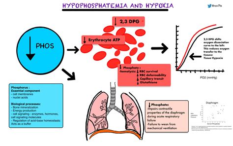 Hypophosphatemia